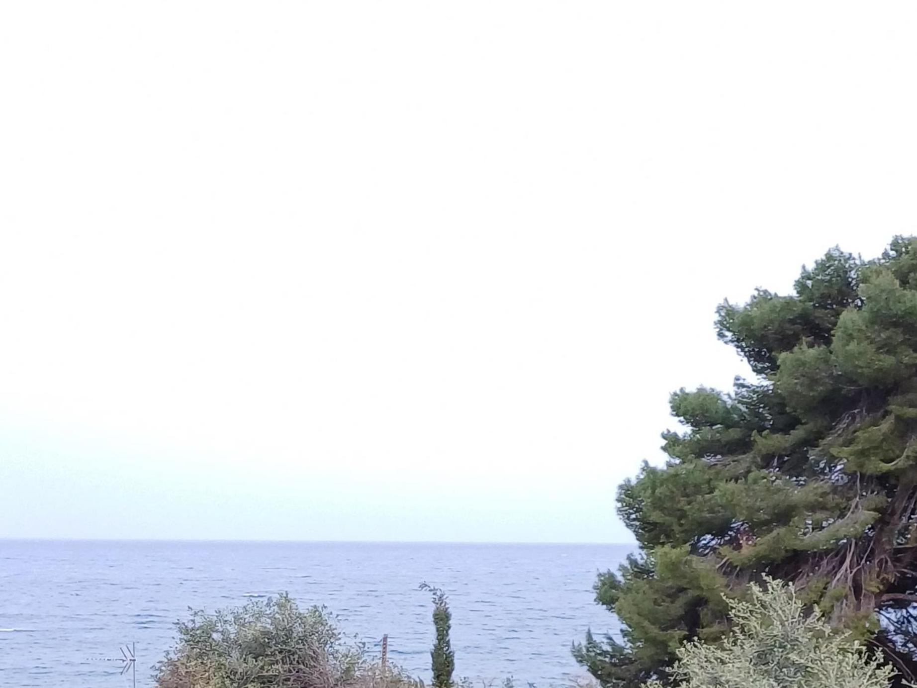 Flora Corfu - Adults Only Benitses (Corfu)